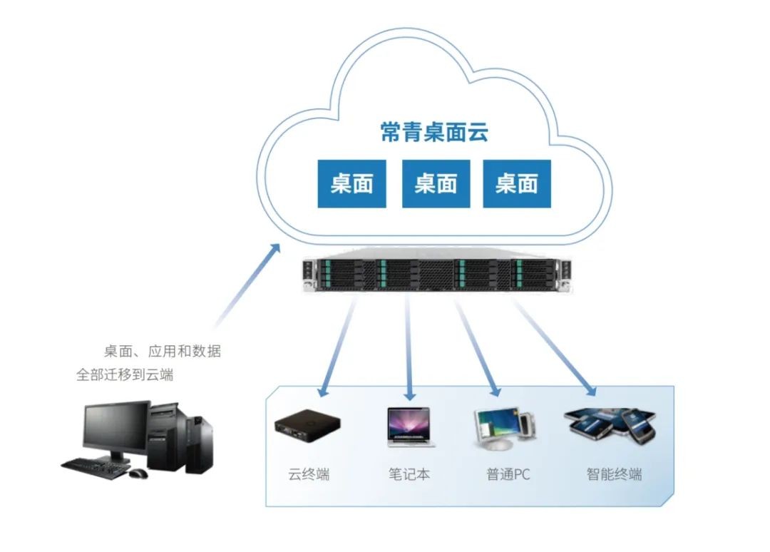 1731998549633 圖片 5